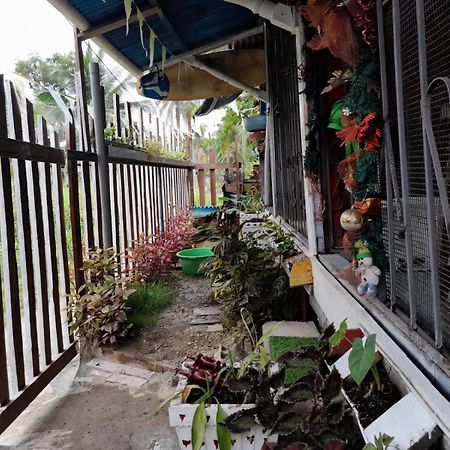 Hostal Cafe Axel Bocas del Toro Exteriér fotografie